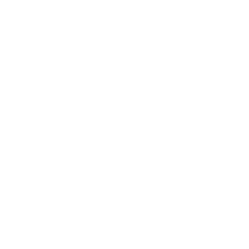 servicios escape coche